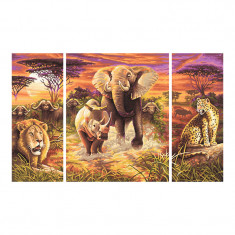 Set pictura pe numere Schipper Simba, 3 tablouri, 40 x 50 cm/20 x 50 cm, carton, textura panza, culori incluse, model 5 eroi ai Africii foto