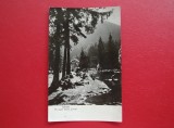 CARTE POSTALA - RPR - TUSNAD - PE MALUL LACUL CIUCAS