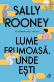 Lume frumoasa, unde esti - Curtea Veche