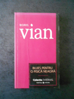 BORIS VIAN - BLUES PENTRU O PISICA NEAGRA foto