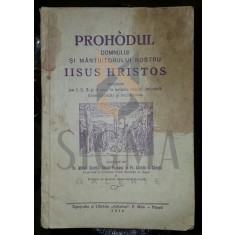MIHAIL CHIRITA (PROFESOR)