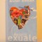 RELATII EXUALE de MICHEL BIRBAEK , 2010