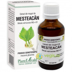 Extract din Muguri de Mesteacan 50ml