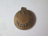 Rar! Romania medalion:F.C.Olimpia Satu Mare 1000 ani de la atestarea orasului 1972,diametrul=26 mm, Europa