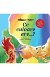 Ce culoare are? - Olina Ortiz