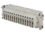 Conector HDC Mamă CDS PIN 42 42 PE 104.27 10A