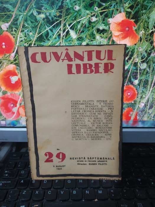 Cuv&acirc;ntul liber, seria II, anul I, nr. 29, 9 august 1924, București, 183