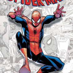 Marvel-Verse: Spider-Man | Paul Jenkins, Stan Lee, Steve Ditko