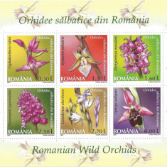 Romania, LP 1758f/2007, Orhidee salbatice din Romania, bloc, MNH