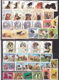 ROM&Acirc;NIA CAINI 7 SERII COMPLETE - MNH, Fauna, Nestampilat