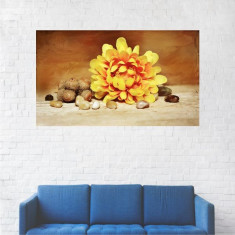 Tablou Canvas, Floare Galbena - 80 x 140 cm foto
