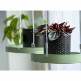Esschert Design Tava pentru plante suspendata, verde, rotund, S GartenMobel Dekor, vidaXL