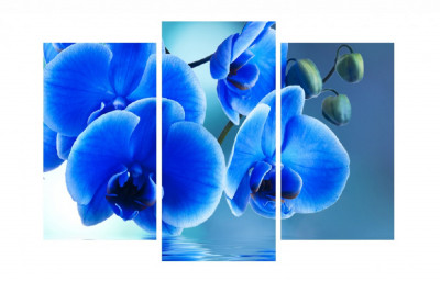 Tablou multicanvas 3 piese Flori 16, 120 x 85 cm foto