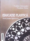 EDUCATIE PLASTICA, GHID PENTRU GIMNAZIU-GH. NESTIAN, M. NESTIAN-347333