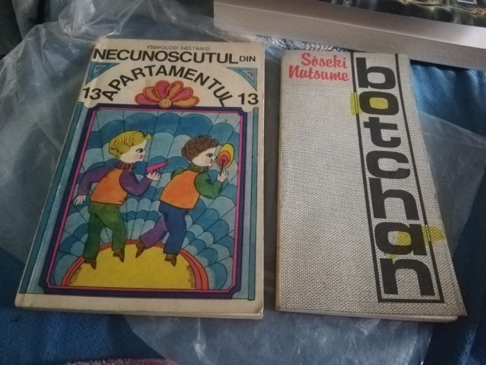 VSEVOLD NESTAIKO//NECUNOSCUTUL DIN APARTAMENTUL 13 DE V.NESTAIKO