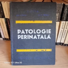 Iulian lupea - Patologie perinatala