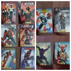 MARVEL 2000 - Colectia Renasterea foto