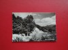 CARTE POSTALA - RPR - OLTUL LA CACIULATA, Circulata, Fotografie