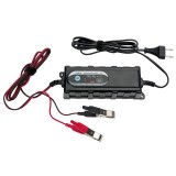 Incarcatorul auto inteligent Platinet PCBC38 3.8A 6V /12V 4Ah &ndash; 120Ah