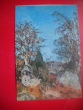 HOPCT 14907 STANCI SI MESTECENI-- IOAN ANDREESCU [ 1850-1882] -- CP PICTURA - -NECIRCULATA
