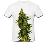 Tricou &quot; Marijuana seed &quot;