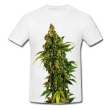 Tricou &quot; Marijuana seed &quot;