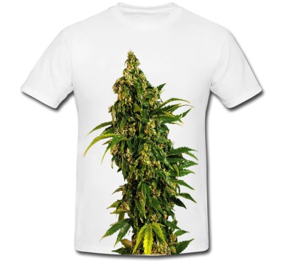 Tricou &amp;quot; Marijuana seed &amp;quot; foto