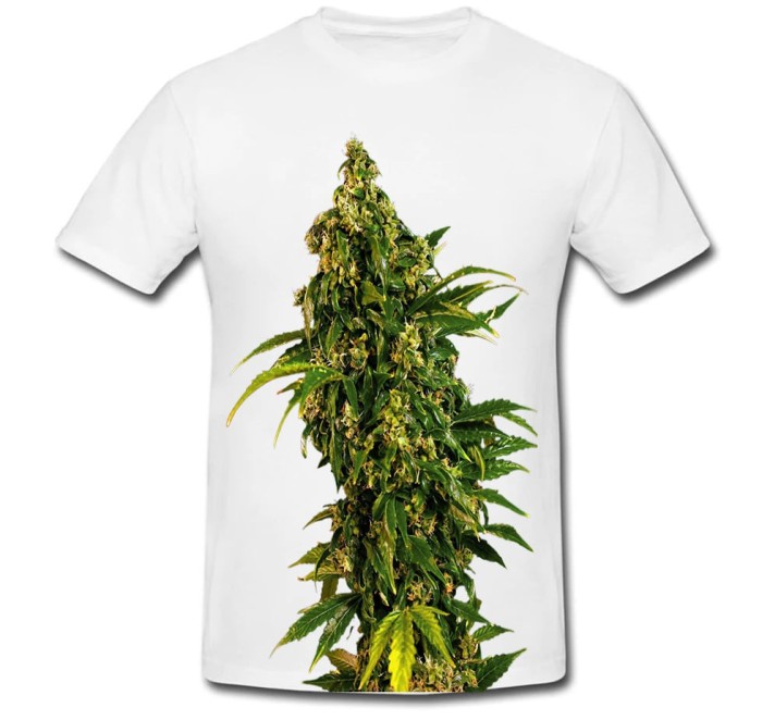 Tricou " Marijuana seed "