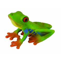 Broasca cu ochii rosii - Collecta