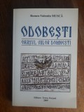 Odobesti, orasul viilor domnesti - Romeo Valentin Musca / R3P3F, Alta editura