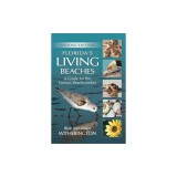Florida's Living Beaches: A Guide for the Curious Beachcomber