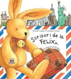 Scrisori de la Felix - Annette Langen - Editura Didactica Publishing House