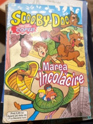 Chris Duffy, Rurik Tyler - Scooby-Doo. Marea Incolacire foto