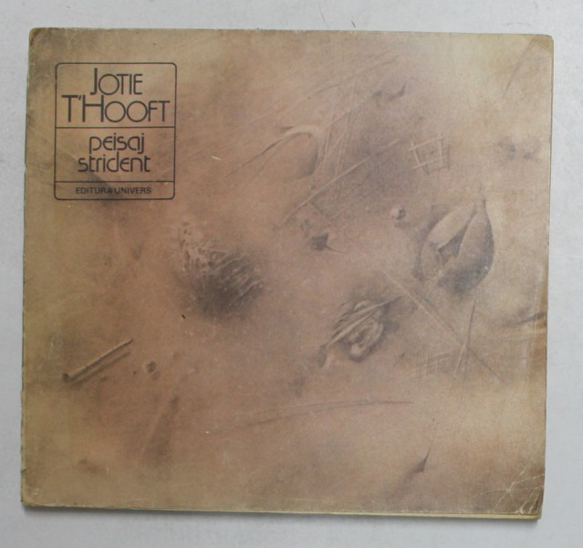PEISAJ STRIDENT de JOTIE T &#039;HOOFT , 1981