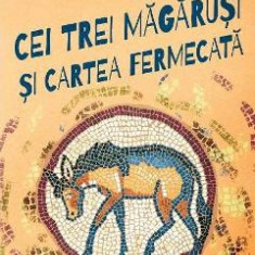 Cei trei magarusi si cartea fermecata - Gabriel H. Decuble