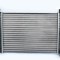 Radiator Motor 153293 con55339