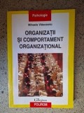 Organizatii si comportament organizational Mihaela Vlasceanu