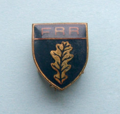 Insigna - FEDERATIA ROMANA DE RUGBY foto