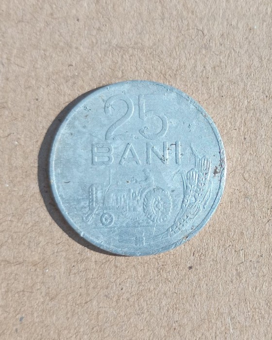 25 Bani 1982