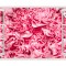 Autocolant decorativ, Fereastra, Arbori si flori, Multicolor, 83 cm, 402ST