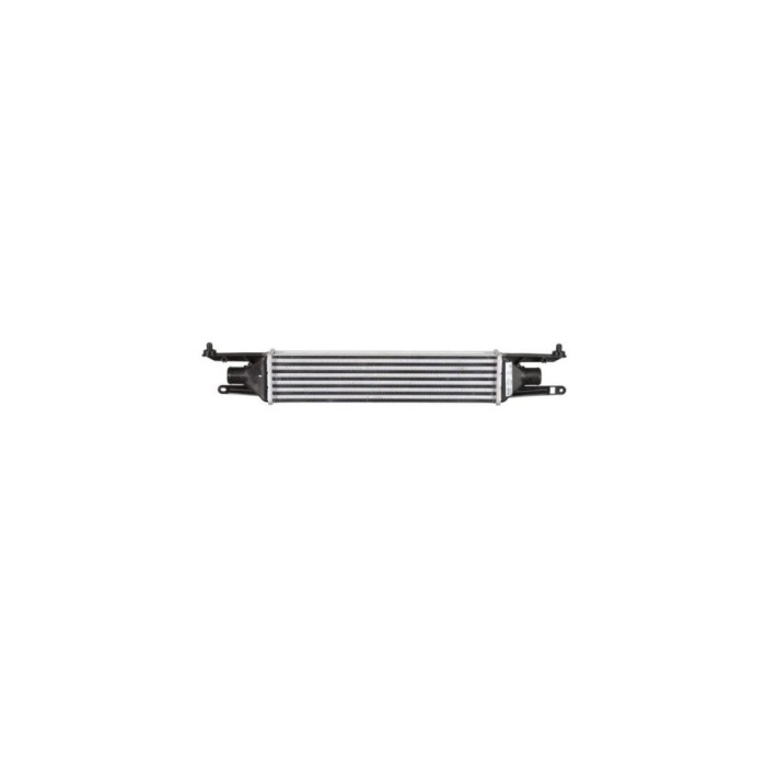 Intercooler FIAT GRANDE PUNTO 199 AVA Quality Cooling FT4319