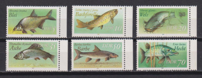 GERMANIA D.D.R. FAUNA MARINA MI. 3095-3100 MNH foto