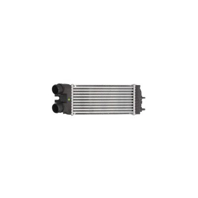 Intercooler PEUGEOT PARTNER caroserie 5 AVA Quality Cooling CN4269 foto