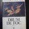 Drum de foc