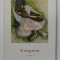 GAUGUIN , TAHITI , text de HENRI PERRUCHOT , 1958 , TEXT IN LIMBA ROMANA