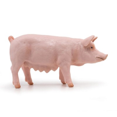 PAPO FIGURINA SCROAFA foto