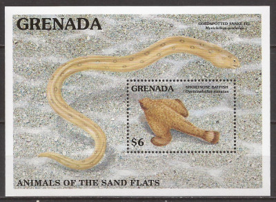 GRENADA FAUNA MARINA ( colita dantelata ) MNH foto