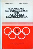 Sorin Radulescu, Marius Radulescu - Teoreme si probleme de analiza matematica