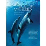 Dolphin Mysteries