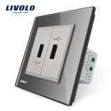 Cumpara ieftin Priza dubla USB Livolo cu rama din sticla SmartElectro IntelligentHouse